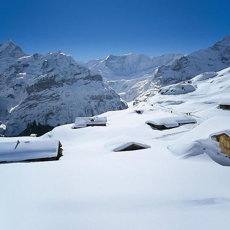 Holiday Home Chalet Ahornen By Interhome Grindelwald Bagian luar foto
