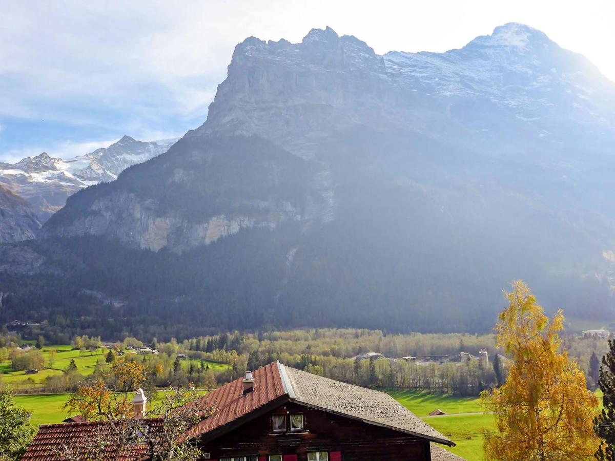 Holiday Home Chalet Ahornen By Interhome Grindelwald Bagian luar foto