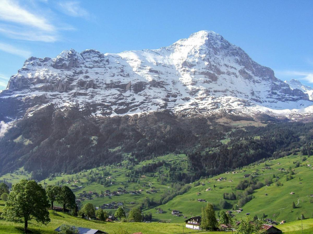 Holiday Home Chalet Ahornen By Interhome Grindelwald Bagian luar foto
